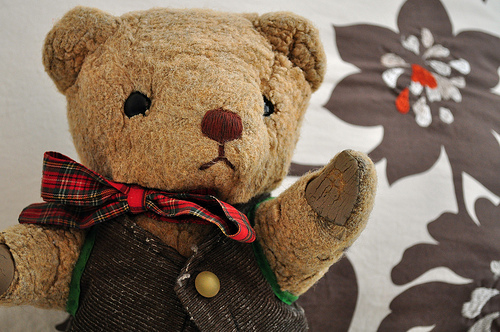 Chester the Bear by Flickr user ShardsofBlue
