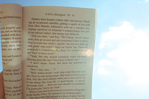 To Kill a Mockingbird, photo by Bruna Ferrara via Flickr