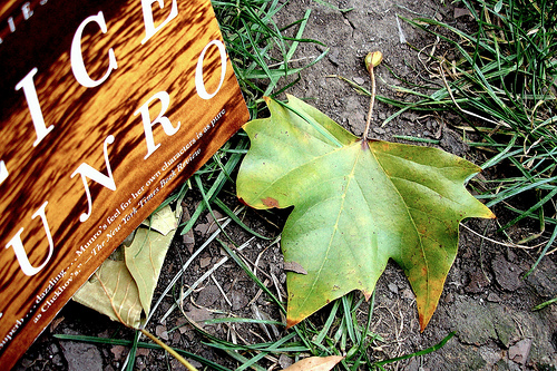 Alice Munro cover photo by le Liz via Flickr