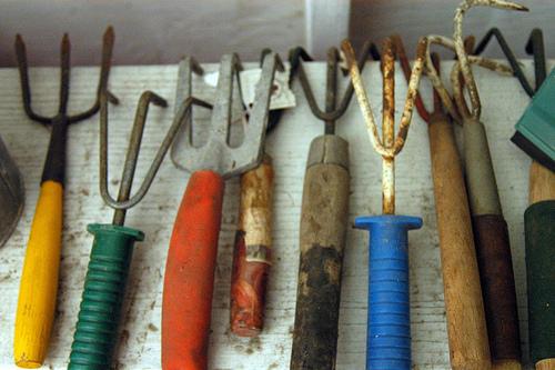 Garden Tools photo by Abby Lanes via Flickr