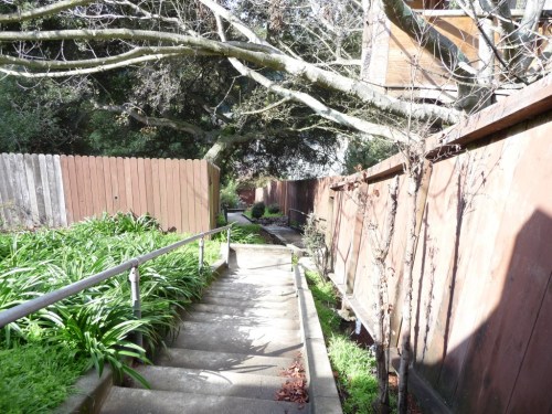 Stairs from Gaspar Road to the Village.  Photo by Deidre Joyner of The Oakland Berkeley Journal.