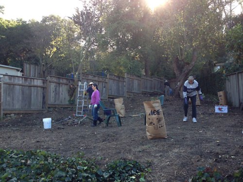 Volunteers hard at work clearing the garden, November 16, 2013