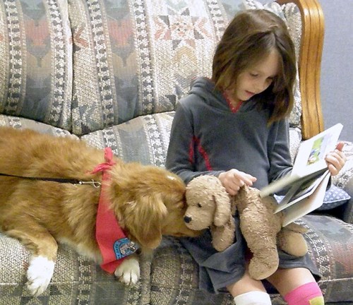 Reading to dogs at the Southworth Library
