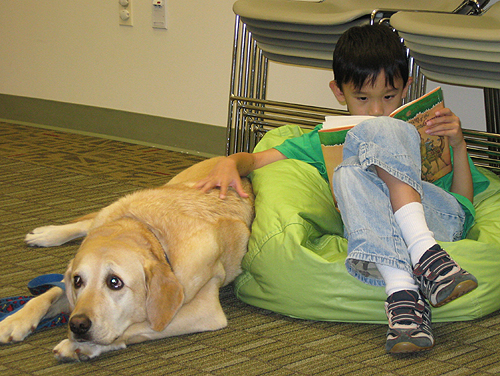 Reading to dogs photo by Fairfax Library Foundation via Flickr