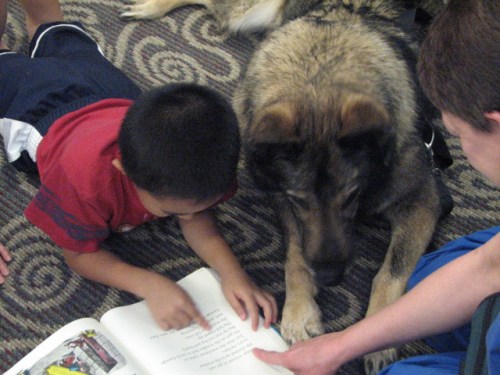 Photo by CMRLS Photos via Flickr