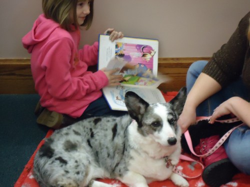 Photo by Anoka County Library via Flickr / Creative Commons