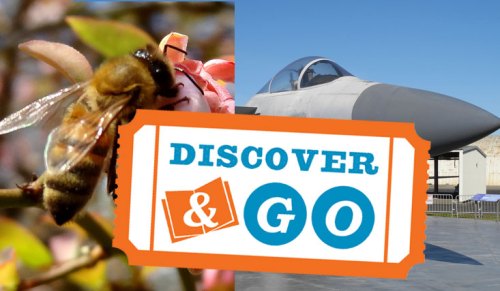Discover and Go with your Oakland Library card
