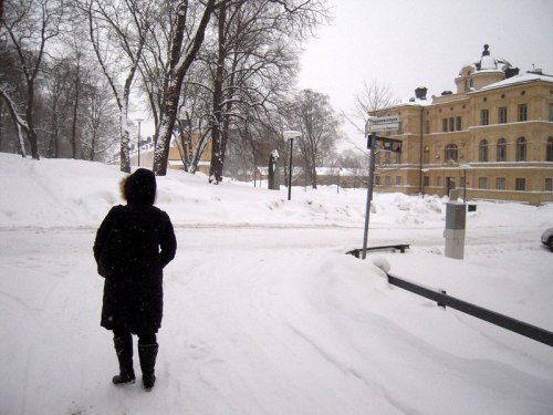 Swedish winter photo by Peter Kirn via Flickr