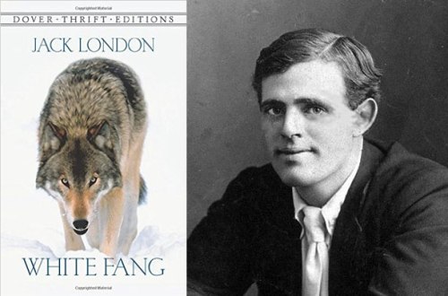 Author Jack London and his book, White Fang
